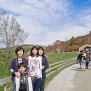 태선목장 네이버블로그