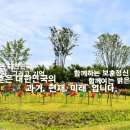 중앙공원 광장 이미지