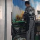 암돼지한마리 암소한마리 이미지