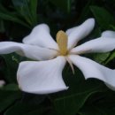 뚝길따라 이미지