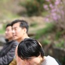 거목 통나무집 이미지