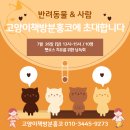 분홍고양이 이미지