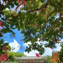 천수만목장 2 이미지