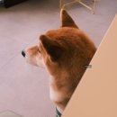 무토(Muto)