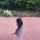 서광리-9 이미지