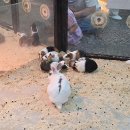 양산 키즈카페 추천｜리틀 히어로 ZOO 후기, 동물 체험까지 가능한 실내 놀이터
