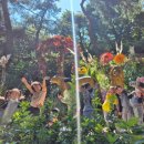 삼양사금강유치원 이미지