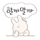 진주동물병원 이미지