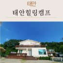 힐링캠프 펜션 | 태안펜션 태안힐링캠프펜션에서 바비큐 즐기고 온 후기