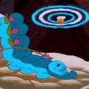 정원비디오 이미지