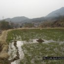 상천리-3 이미지