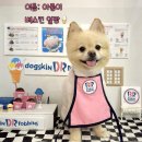 뭉미샵 | 전주 효자동 애견미용실 뭉미샵 미니비숑 포메 말티푸 미용 잘하는곳 예쁜강아지 전주강아지미용실