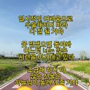 좋은글 짧은글 모음 이미지