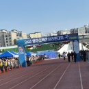 39 | 영주 소백산 마라톤 하프코스 후기 | 낙타 등 업힐 코스, 여자 종합 10위·40대 3위