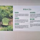 수아칼국수