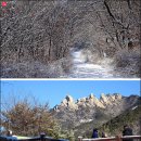 연화화덕생선구이 이미지