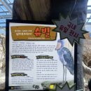 (주)아라마루 이미지