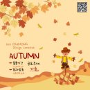 디자인81