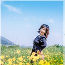 수정공원 Daum카페