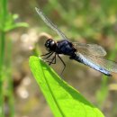 미사누리1호공원 이미지