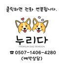 누리다 애견펜션 이미지