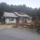 들꽃피는 아침풍경 이미지