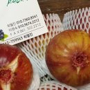 호정농장 이미지