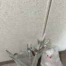정진입주청소 이미지
