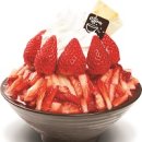 설빙 쿠키뉴스