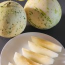 백자농장 이미지