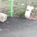 학익체육관 이미지