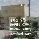 강릉꽃집 추천 메종플라워 감각적인 꽃다발 후기