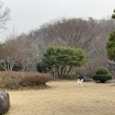 오크빌민박 이미지