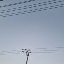 상사동로-11 이미지