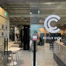 이끌리짐 이미지