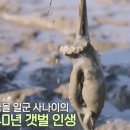 사강식당 티스토리