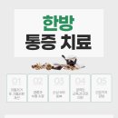 회룡한의원 네이버블로그