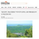 덕주네교동해풍섬쌀 영농조합법인 이미지