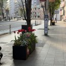 후쿠오카 2박3일 훑고온 후기