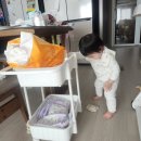 24.03.01-03 12개월 책벌레 아기, 열린놀이
