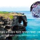 대전태평양약국 이미지