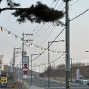 #.221 내돈내산 10년 넘게 방문한 대부도 현지인들의 오리주물럭 찐 맛집 [한마당 오리] 후기