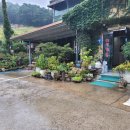 고봉산재래한증막 이미지