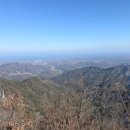 29170-2-B-02 | [울진/블랙야크100대명산] 응봉산, 산양까지 보고온 등산후기 (B코스~A코스)