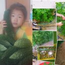 여주-0692 이미지