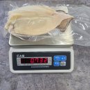 9월1일.참치오마카세,뿔소라,멍게무침,성게알,가리맛조개,대나발소라,꼼장어,민물장어,피데기,해신탕 이미지