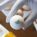 영월동물복지농장 이미지