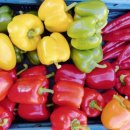 뉴피앙세 이미지