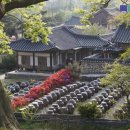 효심의료재단 공주참병원 이미지