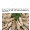 새싹슈퍼 이미지